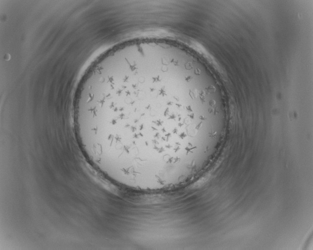 X0000071941232200607281935