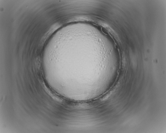 X0000071941233200607281935