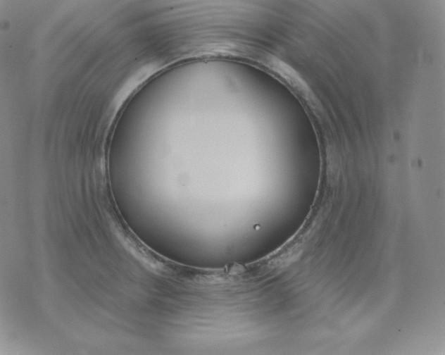 X0000071941234200607281935