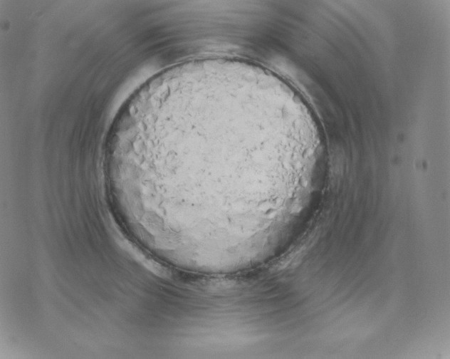 X0000071941235200607281935