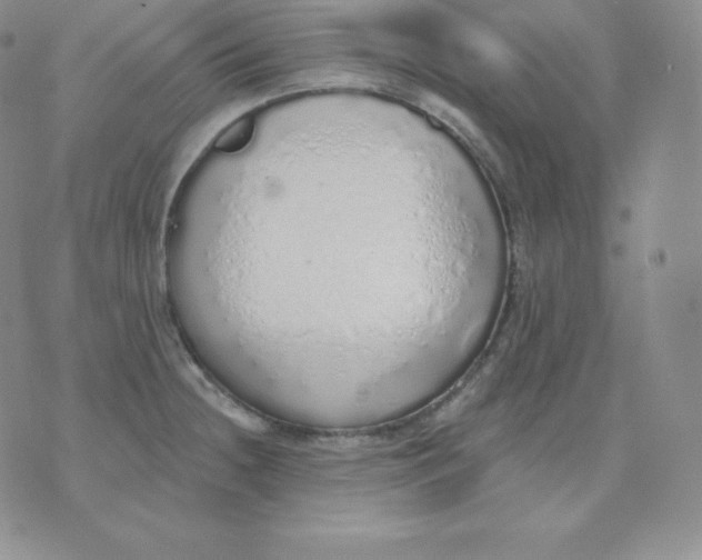 X0000071941236200607281935