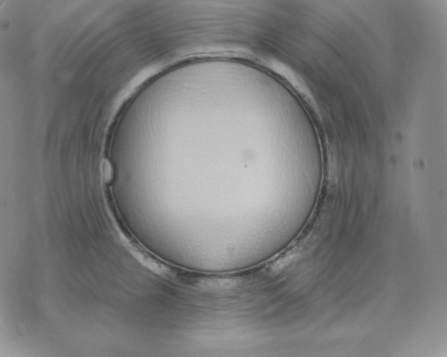 X0000071941237200607281935