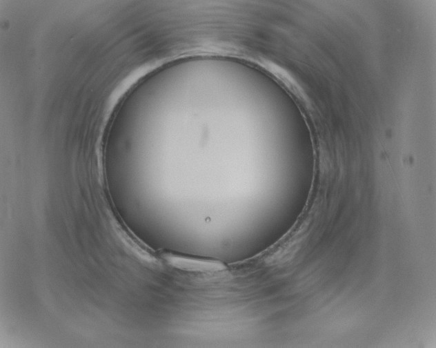 X0000071941238200607281935