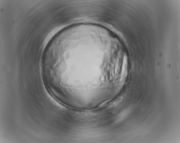 X0000071941239200607281935