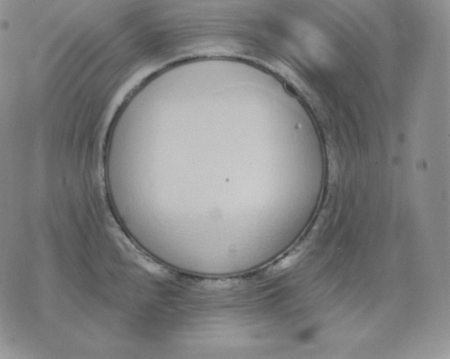 X0000071941240200607281935