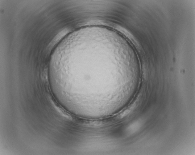 X0000071941241200607281935