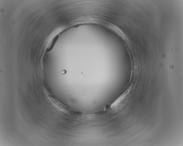 X0000071941242200607281935