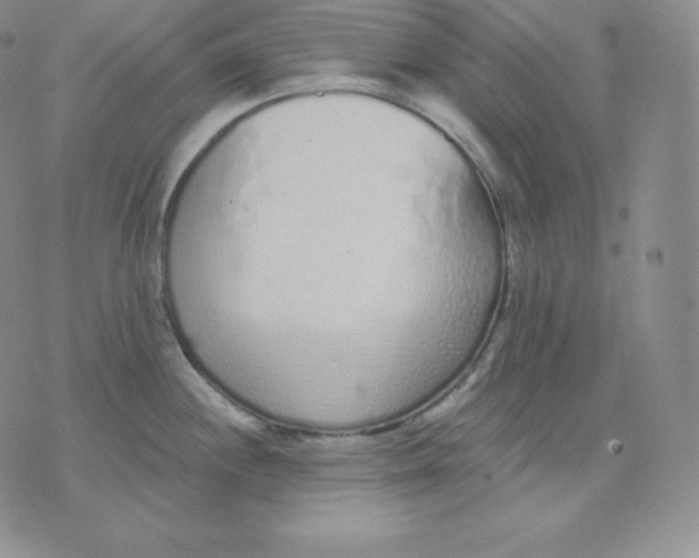 X0000071941244200607281935