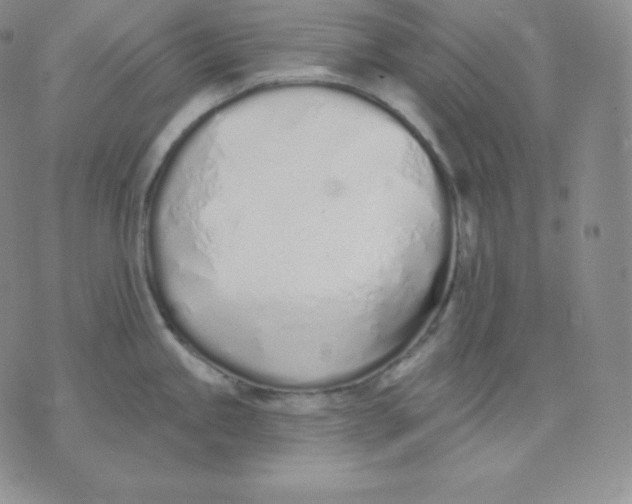 X0000071941245200607281935