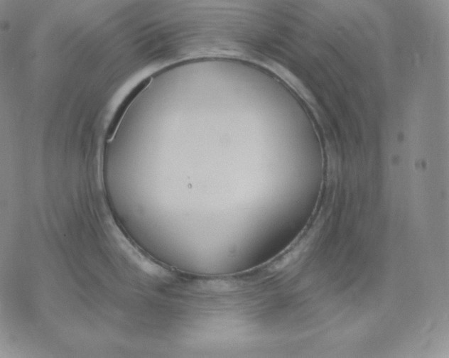 X0000071941246200607281935