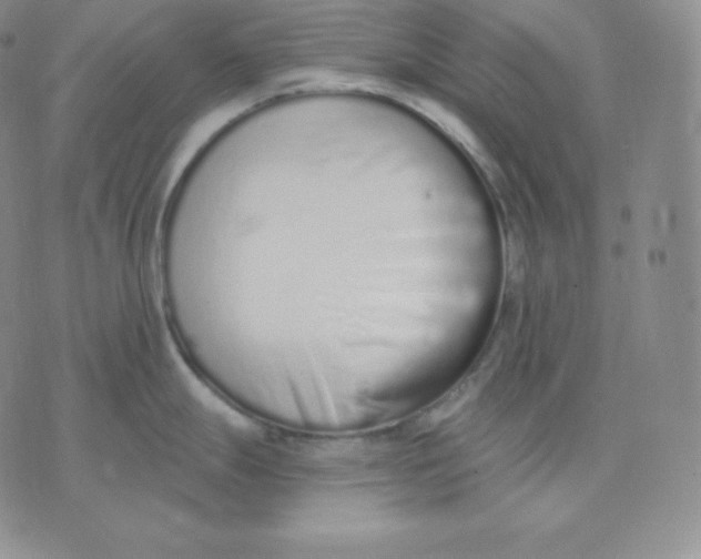 X0000071941247200607281936