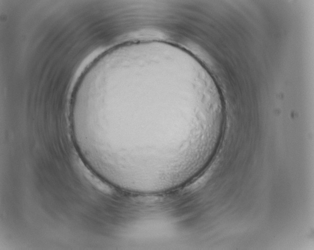 X0000071941248200607281936