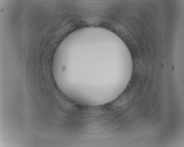 X0000071941249200607281935