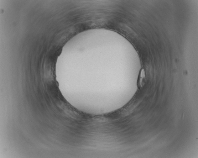 X0000071941250200607281935