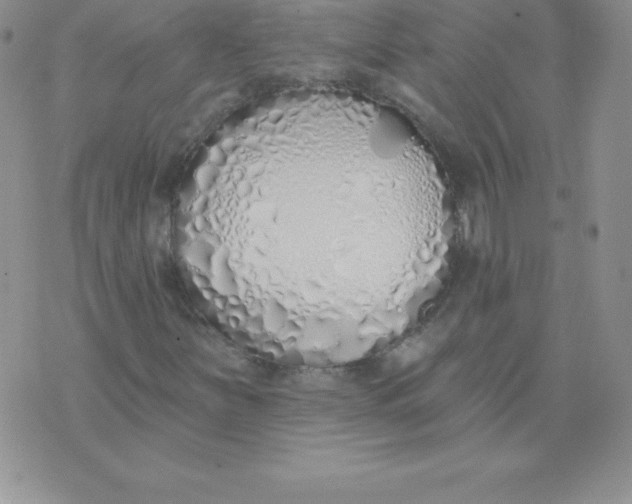 X0000071941251200607281935