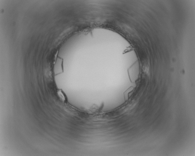 X0000071941252200607281935