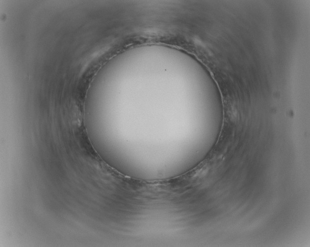 X0000071941253200607281935