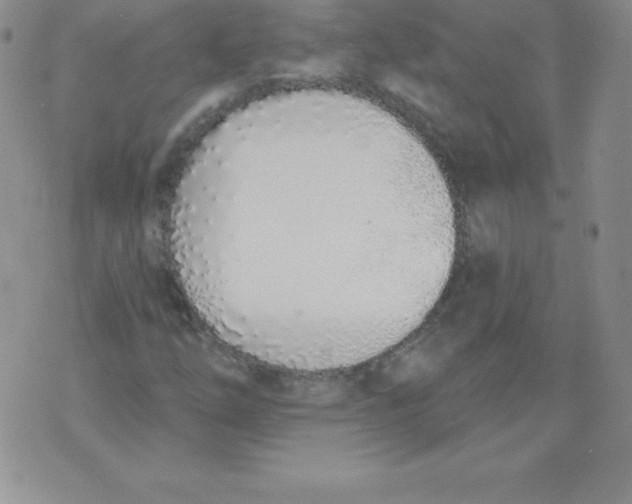 X0000071941254200607281935