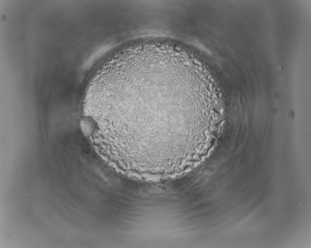 X0000071941255200607281935