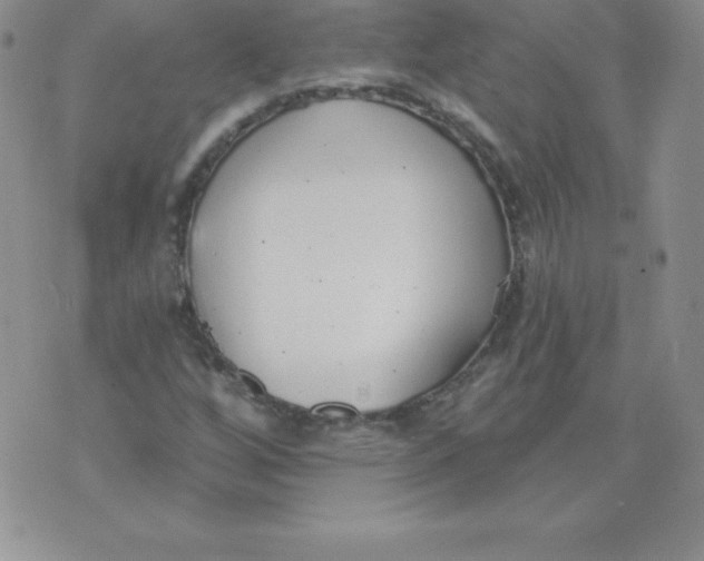 X0000071941256200607281935