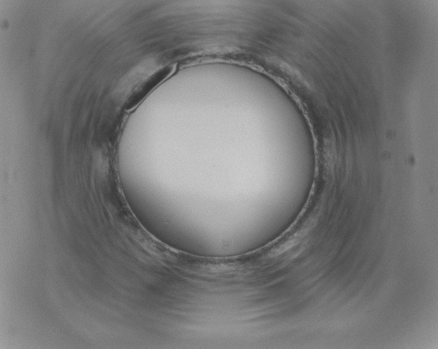 X0000071941257200607281935