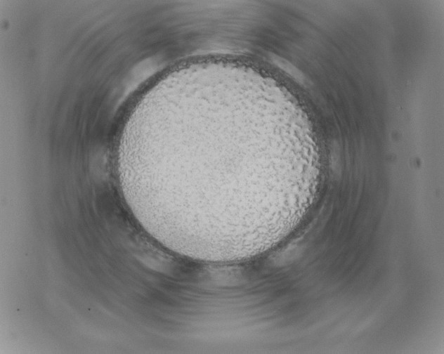 X0000071941258200607281935