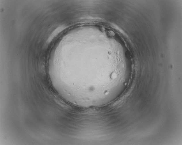 X0000071941259200607281935