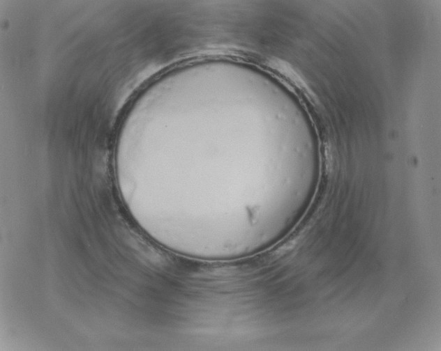 X0000071941260200607281935