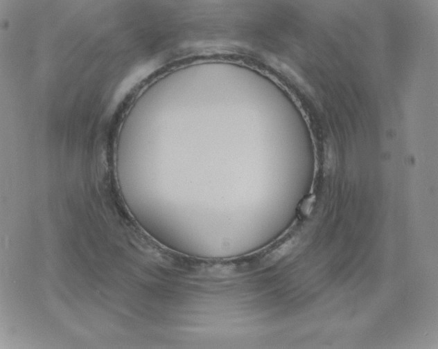 X0000071941261200607281935