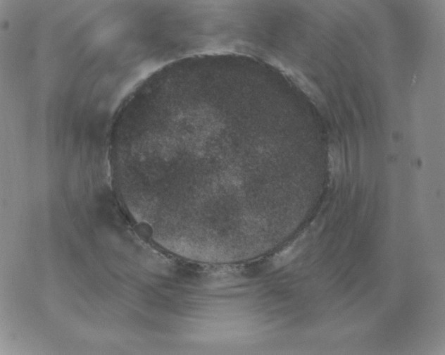 X0000071941262200607281935