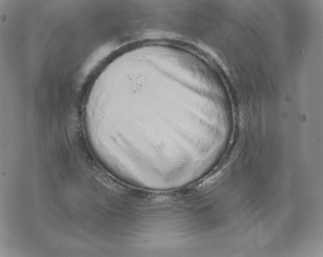 X0000071941263200607281935