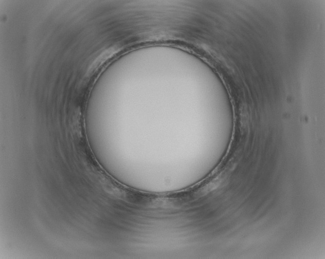 X0000071941265200607281934