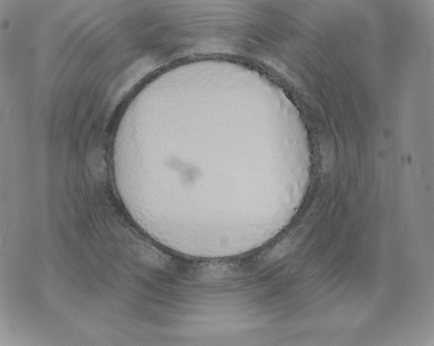 X0000071941266200607281934