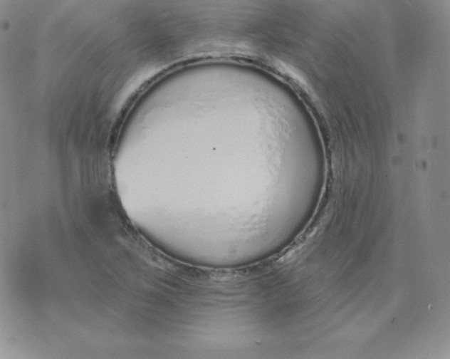 X0000071941267200607281934