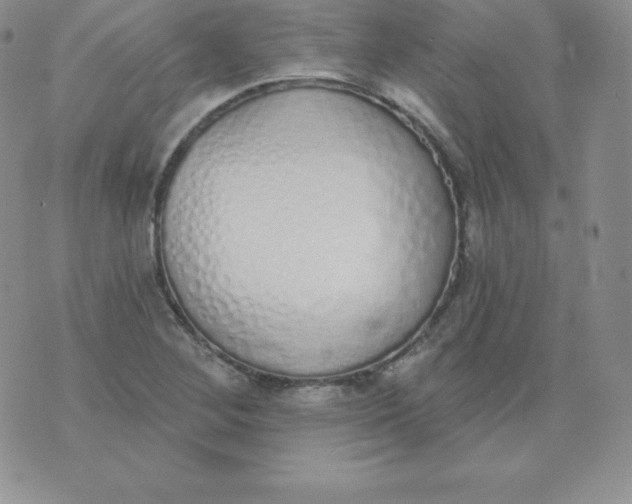 X0000071941268200607281934