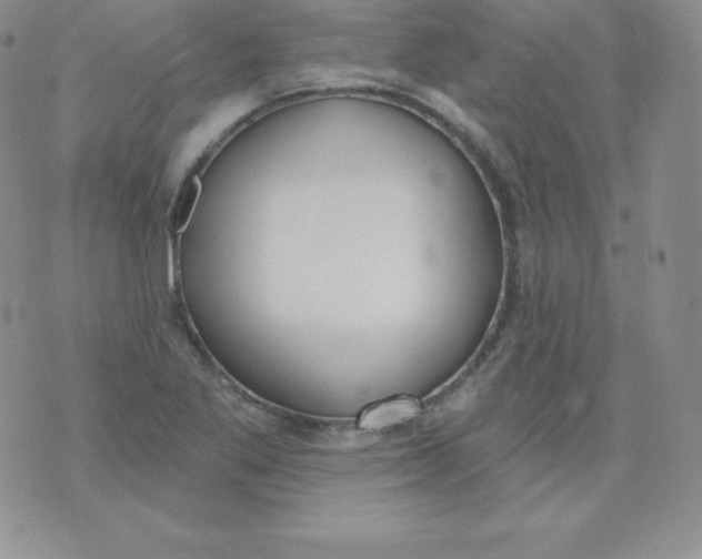 X0000071941269200607281934