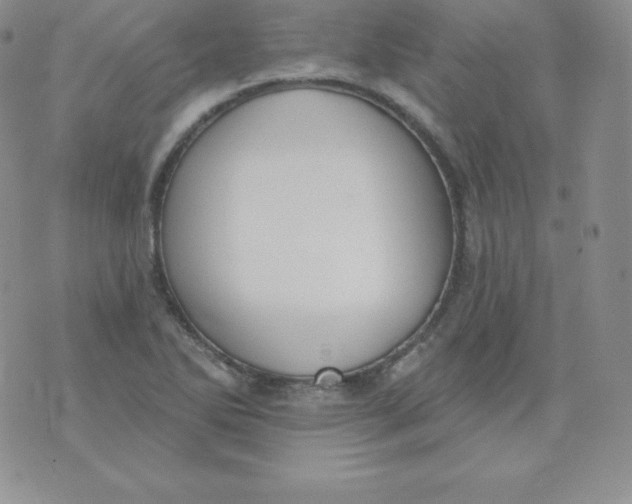 X0000071941270200607281934