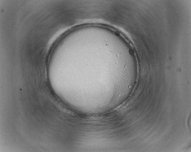 X0000071941271200607281934