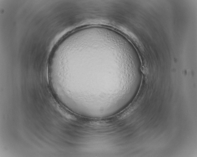 X0000071941272200607281934