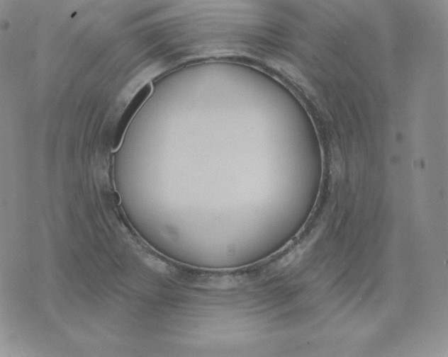 X0000071941273200607281934