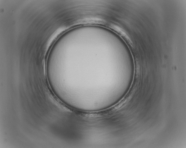 X0000071941275200607281934