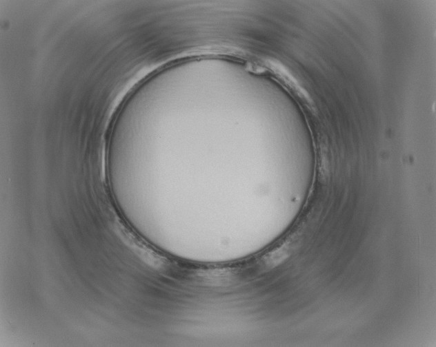 X0000071941276200607281934