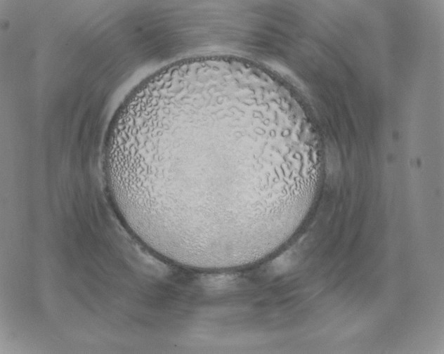 X0000071941278200607281934