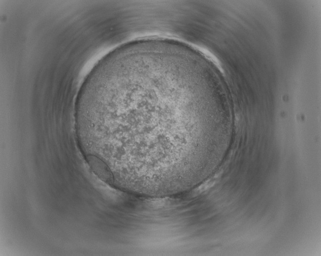 X0000071941279200607281934