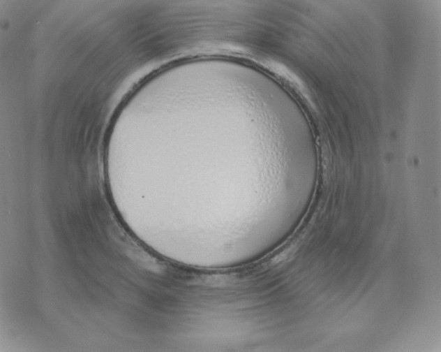 X0000071941280200607281934