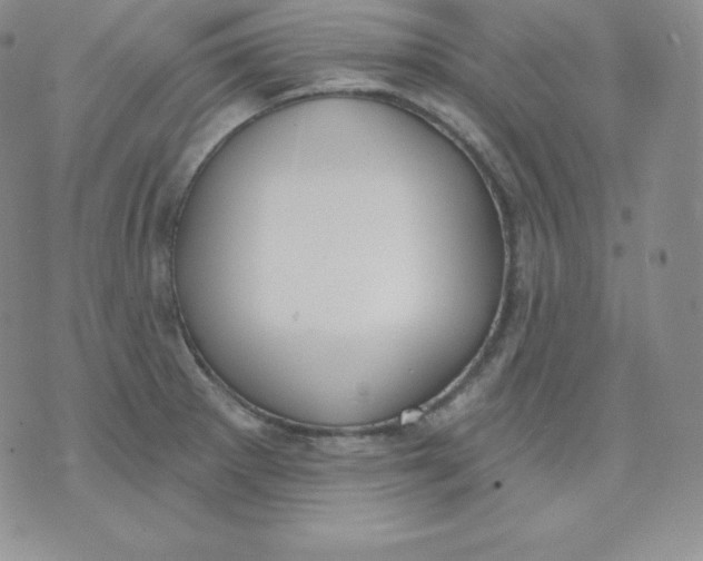 X0000071941281200607281934