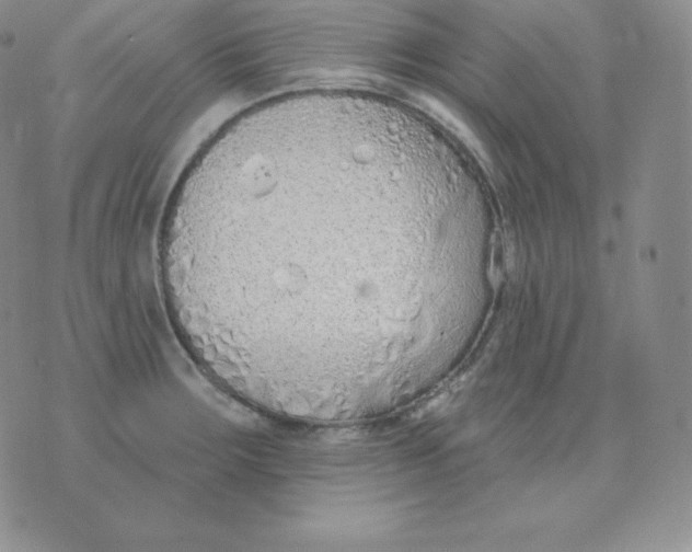 X0000071941283200607281934