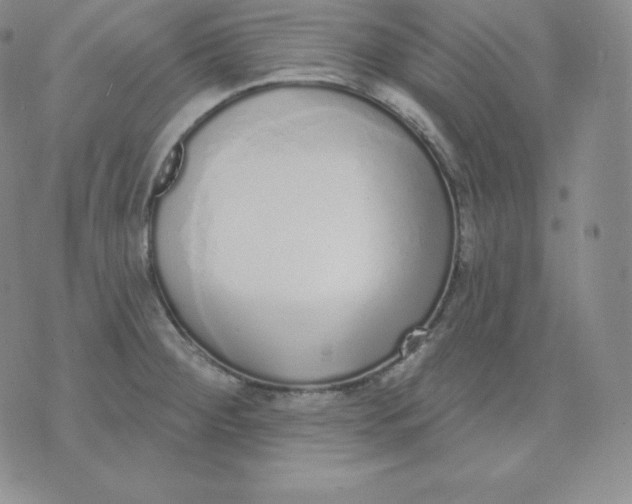 X0000071941284200607281934