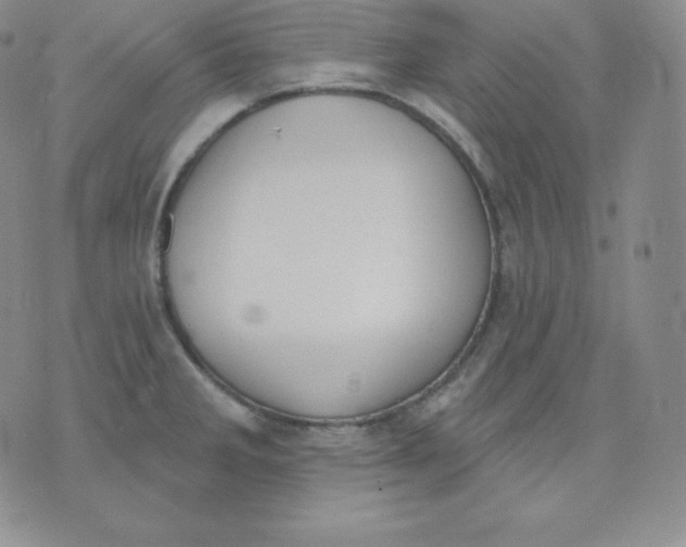 X0000071941285200607281934