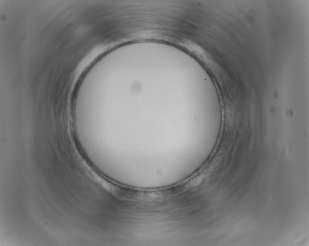 X0000071941286200607281934